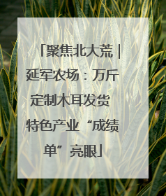 聚焦北大荒｜延军农场：万斤定制木耳发货 特色产业“成绩单”亮眼