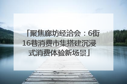 聚焦廊坊经洽会：6街16巷消费市集搭建沉浸式消费体验新场景