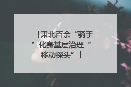 肃北百余“骑手”化身基层治理“移动探头”