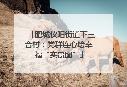 肥城仪阳街道下三合村：党群连心绘幸福“实景图”