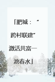 肥城：“跨村联建”激活共富一池春水