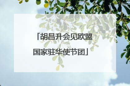 胡昌升会见欧盟国家驻华使节团