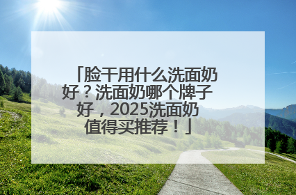 脸干用什么洗面奶好？洗面奶哪个牌子好，2025洗面奶值得买推荐！