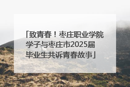 致青春！枣庄职业学院学子与枣庄市2025届毕业生共诉青春故事
