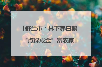 舒兰市：林下养白鹅 “点绿成金”富农家