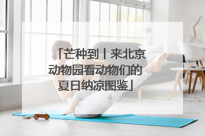 芒种到丨来北京动物园看动物们的夏日纳凉图鉴