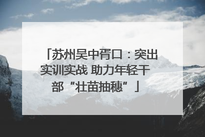 苏州吴中胥口：突出实训实战 助力年轻干部“壮苗抽穗”
