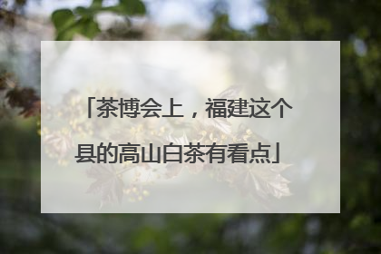茶博会上，福建这个县的高山白茶有看点