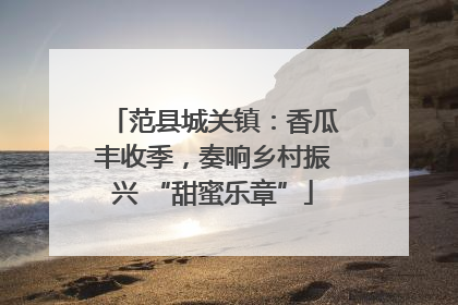 范县城关镇：香瓜丰收季，奏响乡村振兴 “甜蜜乐章”