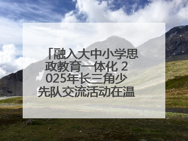 融入大中小学思政教育一体化 2025年长三角少先队交流活动在温岭举办