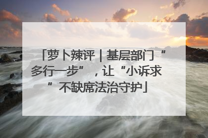 萝卜辣评｜基层部门“多行一步”，让“小诉求”不缺席法治守护