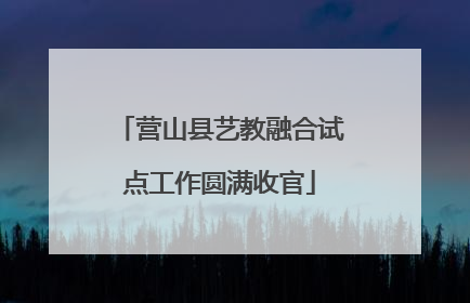 营山县艺教融合试点工作圆满收官