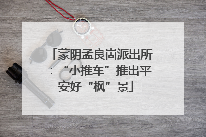 蒙阴孟良崮派出所：“小推车”推出平安好“枫”景
