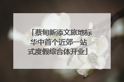 蔡甸新添文旅地标 华中首个近郊一站式度假综合体开业