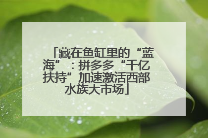 藏在鱼缸里的“蓝海”：拼多多“千亿扶持”加速激活西部水族大市场
