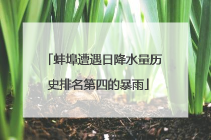 蚌埠遭遇日降水量历史排名第四的暴雨