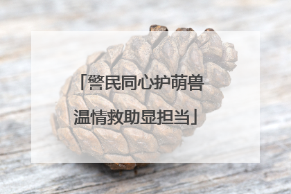 警民同心护萌兽 温情救助显担当