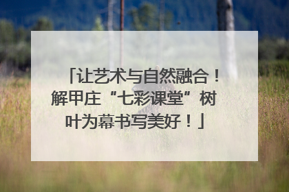 让艺术与自然融合！解甲庄“七彩课堂”树叶为幕书写美好！