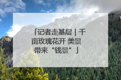 记者走基层｜千亩玫瑰花开 美景带来“钱景”