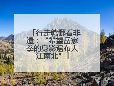 行走赣鄱看非遗：“希望岳家拳的身影遍布大江南北”