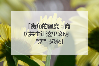 街角的温度：商居共生让这里文明“活”起来