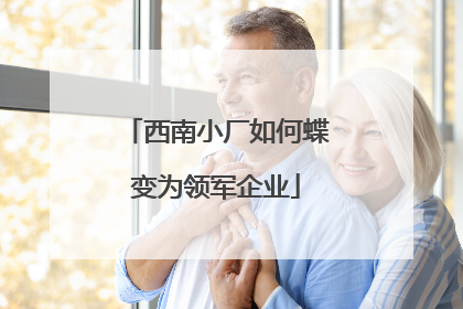 西南小厂如何蝶变为领军企业