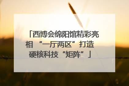 西博会绵阳馆精彩亮相 “一厅两区”打造硬核科技“矩阵”