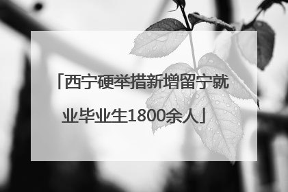 西宁硬举措新增留宁就业毕业生1800余人