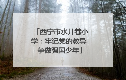 西宁市水井巷小学:牢记党的教导 争做强国少年