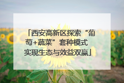 西安高新区探索“葡萄+蔬菜”套种模式 实现生态与效益双赢