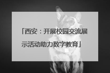 西安：开展校园交流展示活动助力数字教育