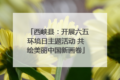西峡县：开展六五环境日主题活动 共绘美丽中国新画卷