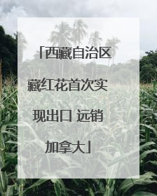 西藏自治区藏红花首次实现出口 远销加拿大