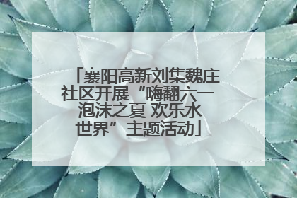 襄阳高新刘集魏庄社区开展“嗨翻六一 泡沫之夏 欢乐水世界”主题活动