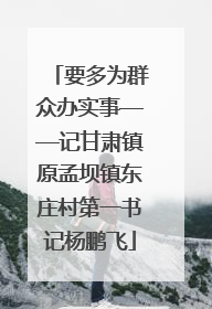 要多为群众办实事——记甘肃镇原孟坝镇东庄村第一书记杨鹏飞