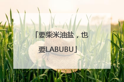 要柴米油盐，也要LABUBU