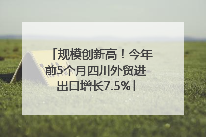 规模创新高！今年前5个月四川外贸进出口增长7.5%