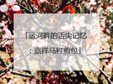 运河畔的舌尖记忆：嘉祥马村煎包