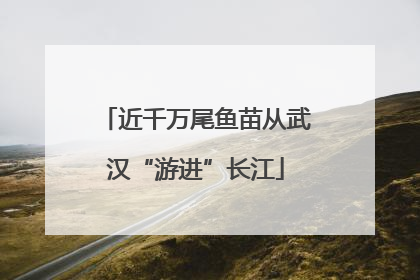 近千万尾鱼苗从武汉“游进”长江