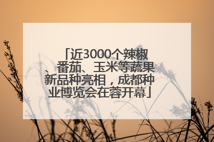 近3000个辣椒、番茄、玉米等蔬果新品种亮相,成都种业博览会在蓉开幕