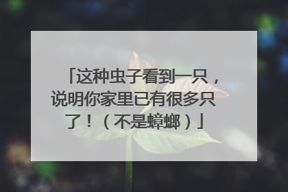 这种虫子看到一只，说明你家里已有很多只了！（不是蟑螂）