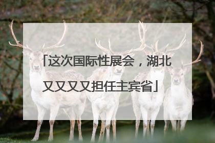 这次国际性展会，湖北又又又又担任主宾省