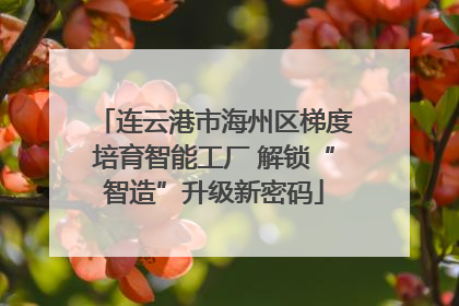 连云港市海州区梯度培育智能工厂 解锁“智造”升级新密码