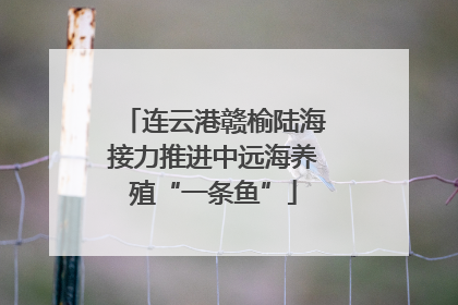 连云港赣榆陆海接力推进中远海养殖“一条鱼”