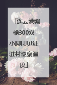 连云港赣榆300双小脚印见证驻村巡察温度