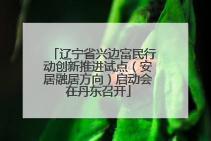 辽宁省兴边富民行动创新推进试点（安居融居方向）启动会在丹东召开