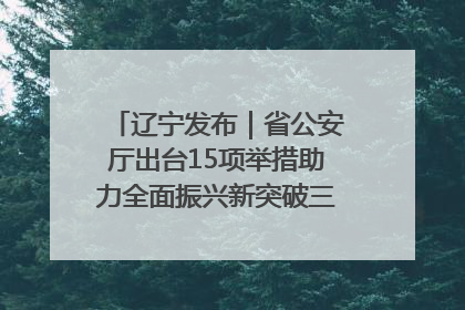 辽宁发布｜省公安厅出台15项举措助力全面振兴新突破三年行动决胜之战