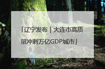 辽宁发布｜大连市高质量冲刺万亿GDP城市