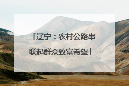 辽宁：农村公路串联起群众致富希望