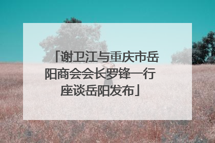 谢卫江与重庆市岳阳商会会长罗锋一行座谈岳阳发布